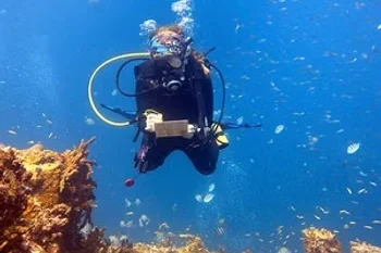 Aquanauts Grenada Wins CHTA Award 